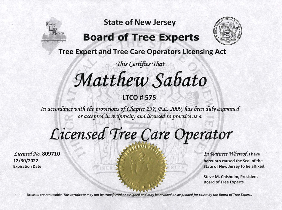 Tree Removal Contractor in North Jersey - image