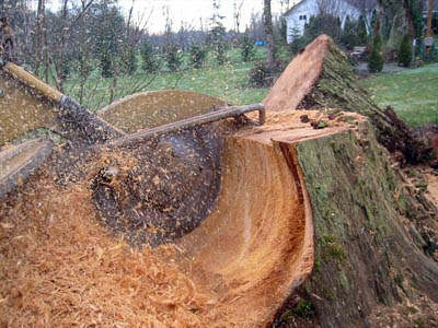 Stump Grinding - Image
