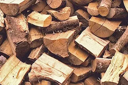 Firewood Delivery Service NJ