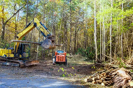 Land Clearing Service NJ